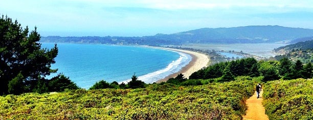 Dipsea Trail is one of Happy trails #sf #bayarea.
