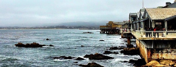 Monterey Bay Aquarium is one of Things to do in the Bay Area.