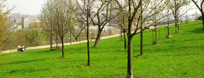 Park Sacré Cœur is one of Tempat yang Disukai Nikos.