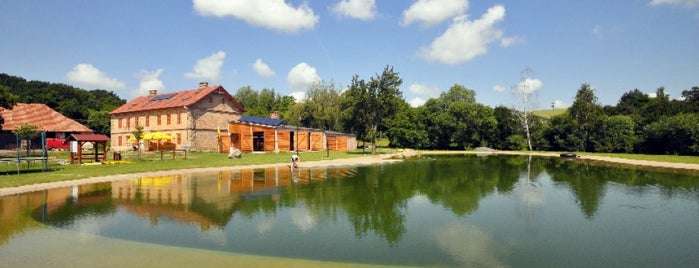 Dvůr Honětice is one of Tom's Saved Places.