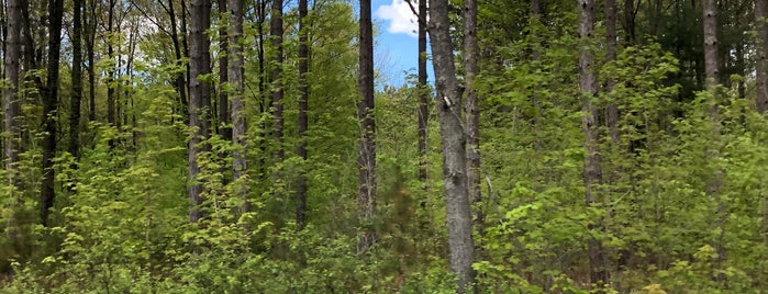 Manistee National Forest is one of National Recreation Areas.