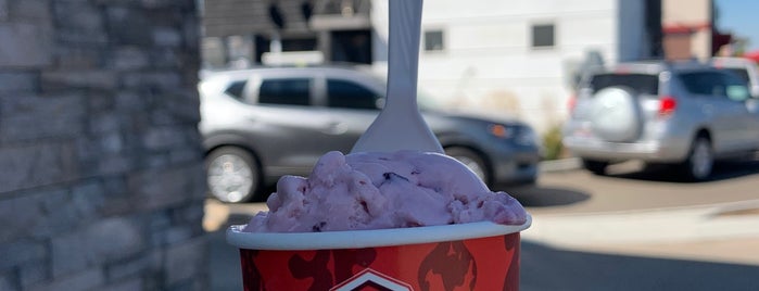 Reed’s Dairy is one of Idaho.