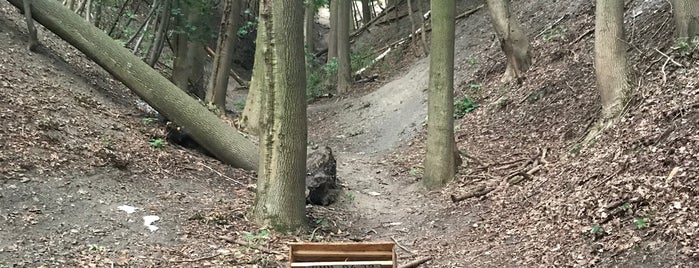 Bikepark Hostivař is one of MTB v Česku.