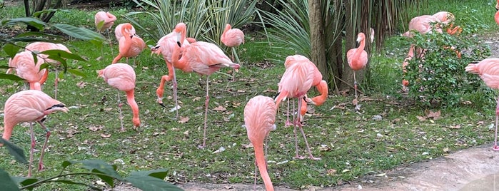 Teleférico Jardim Zoológico is one of PT.