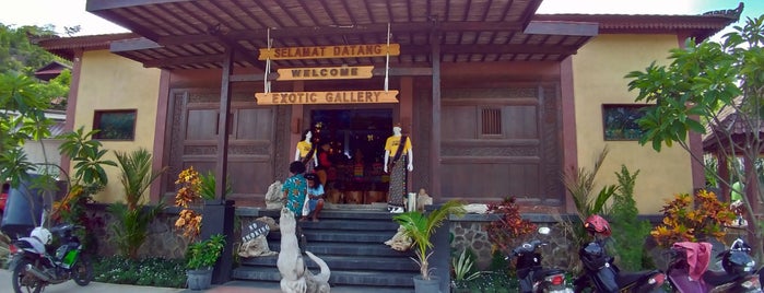 Exotic Komodo is one of Arthur's fun Places to Travel to!.