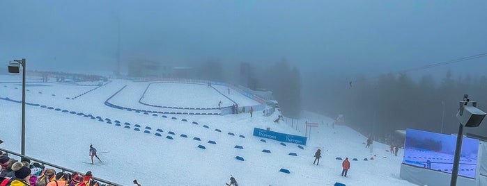 DKB Ski-Arena is one of Oberhof.