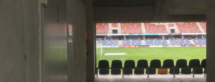 Estadio Municipal de Pasarón is one of Estadios.