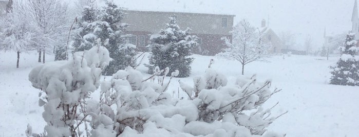 Snowpocalypse 2014 is one of Favorites.
