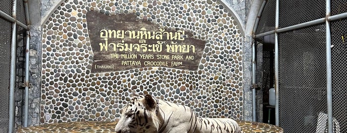 The Million Years Stone Park & Pattaya Crocodile Farm is one of Tempat yang Disimpan Liliia.
