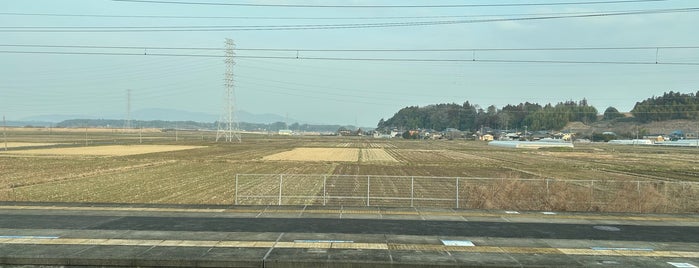 Takahama Station is one of JR 키타칸토지방역 (JR 北関東地方の駅).