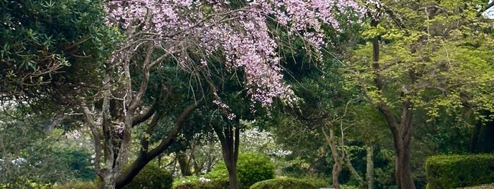 丸山公園 is one of 観光 行きたい2.