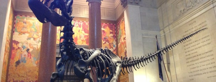 American Museum of Natural History is one of Awesome places in NYC.