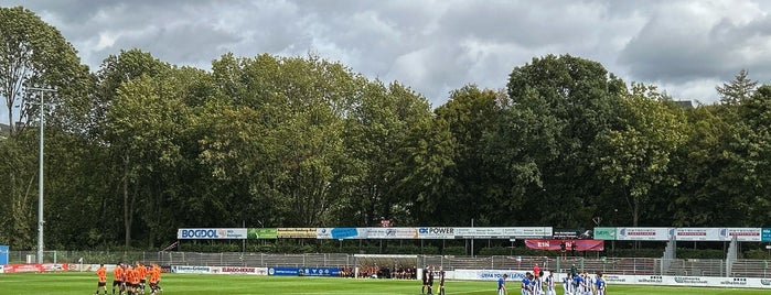 Edmund Plambeck Stadion is one of Regionalliga Nord 2017/18.