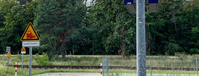 Bahnhof Prora is one of Oostzeekust 🇩🇪.