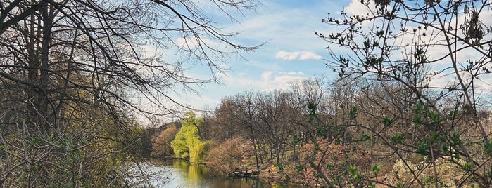 Fennsee is one of Must-visit Great Outdoors in Berlin.