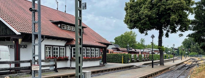 Bahnhof Wernigerode Westerntor is one of schierke.