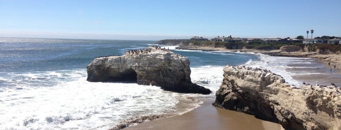 Natural Bridges State Beach is one of Bay Area Kid Fun.