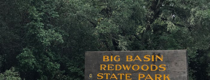 Big Basin Redwoods State Park is one of Bay Area Kid Fun.