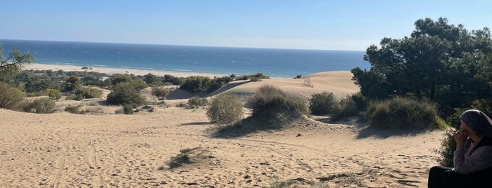 Patara Kum Tepesi is one of İzmir Dışı Yerler.