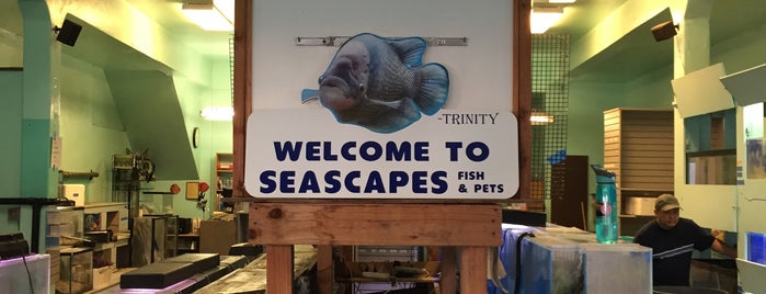 Seascapes Fish & Pets is one of History.