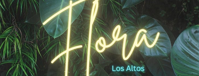 Flora Los Altos is one of History II.