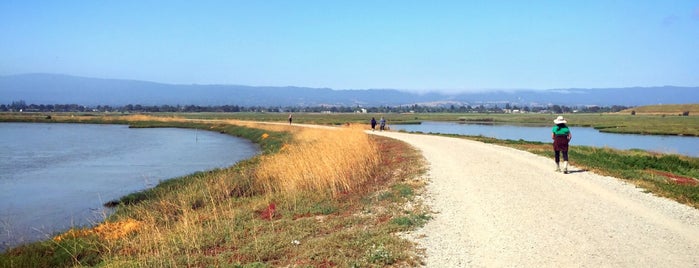 San Francisco Bay Trail is one of Fun in the Sun.