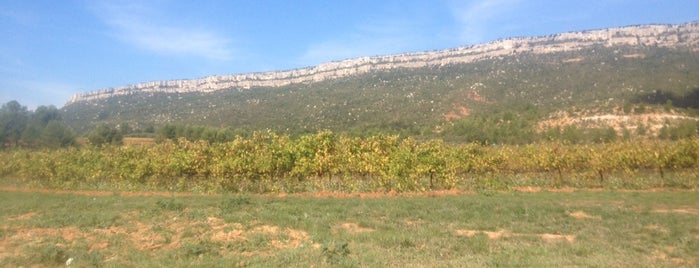 Château De la Galinière is one of Locais curtidos por Megan.