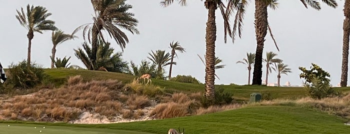 Saadiyat Beach Golf Club is one of Orte, die Aylin gefallen.