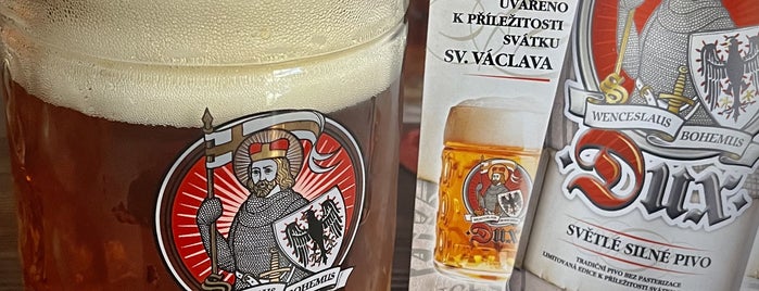U Rokytky is one of pivo.