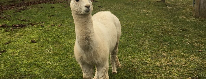 Kensington Prairie Farm is one of Anastasia 님이 좋아한 장소.