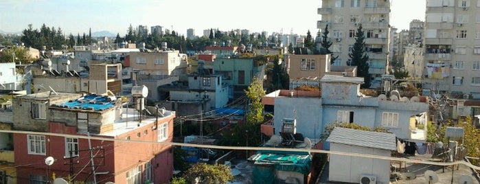 Ziyapaşa is one of Mahalleler | Adana.