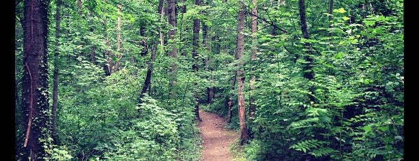 Murray Run Trail is one of Places to check out.