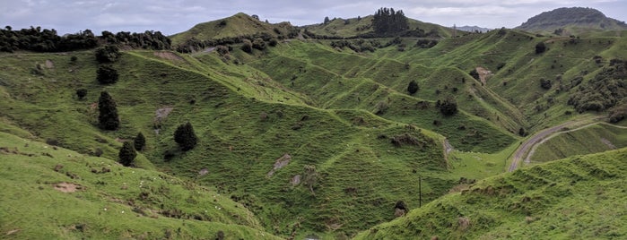 Forgotten World Highway is one of NZ2.