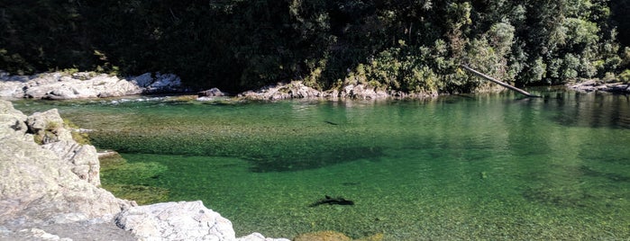 Pelorus River is one of Hank’s Liked Places.