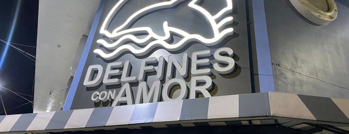 Delfines con Amor is one of Cafe San Jose-Desampa.