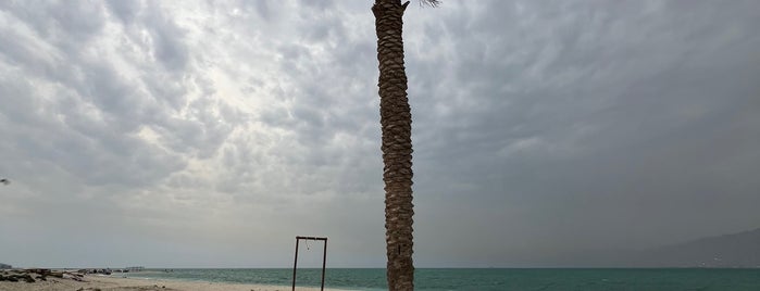خليج هاله | Haleh Gulf is one of Bushehr.