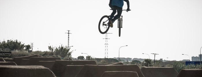 La Poma Skatepark is one of Barcelona skate spots.