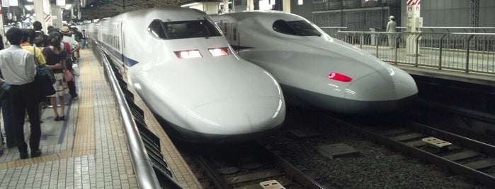 Shinkansen Platforms is one of The stations I visited.
