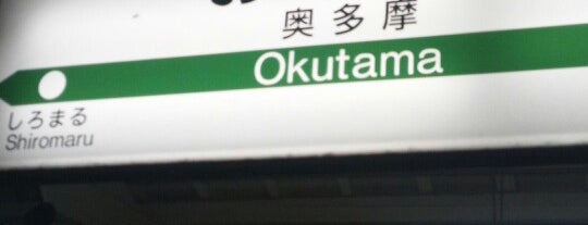 Okutama Station is one of The stations I visited.