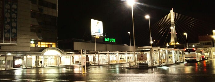 Aomori Station is one of The stations I visited.