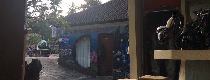 Dive Bali-club is one of Дайвинг.