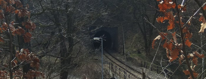 Železniční zastávka Dolní Břežany-Jarov is one of Lugares favoritos de Jan.