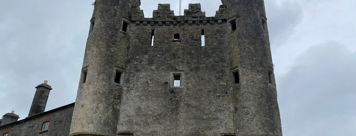 Enniskillen Castle is one of Ireland-List 2.