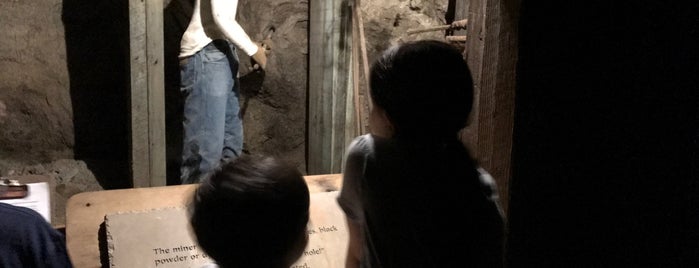 California State Mining and Mineral Museum is one of CA State Parks with Junior Ranger Programs.