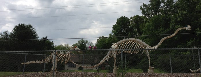 Skeleton Dinosaurs is one of 2013 Midwest Roadtrip.