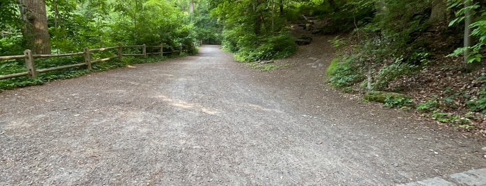 Forbidden Drive Trail is one of Philly.