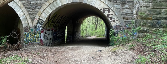 Wissahickon Memorial Bridge is one of Highways & Byways.