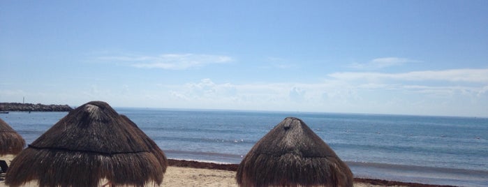 Tumbonas de playa, Now Jade is one of Locais curtidos por Tania.