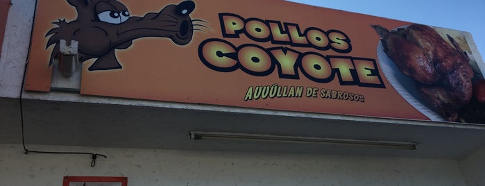 Pollos Coyote is one of Taniaさんのお気に入りスポット.