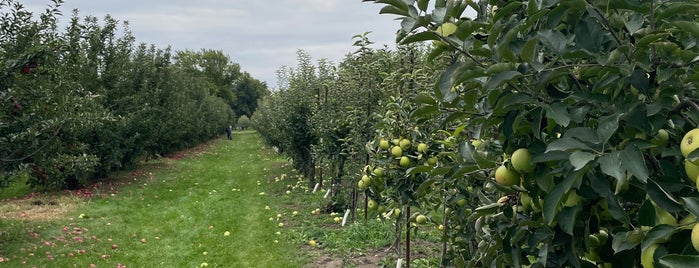 County Line Orchard is one of Explore Indiana.